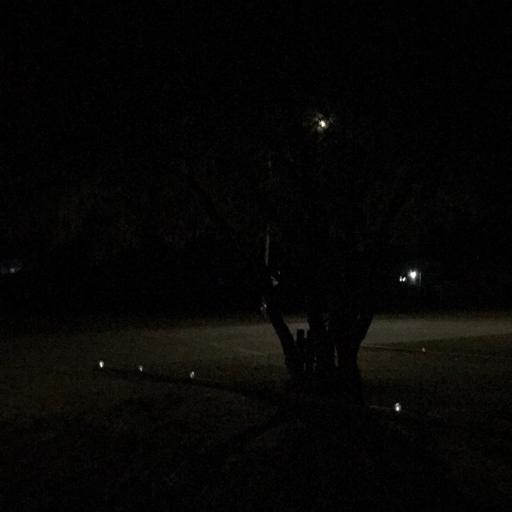 Welcome to my small space all of things I love